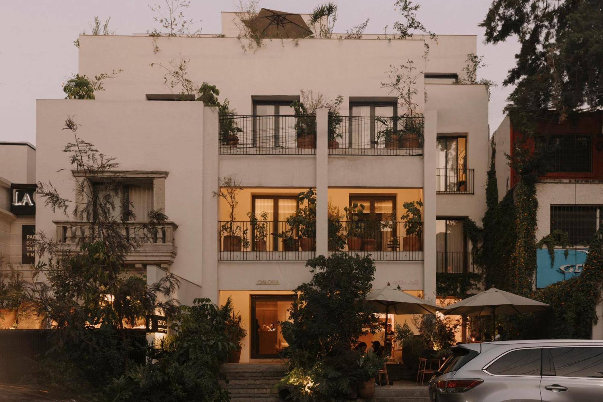 Отель Casa Ofelia Мехико Экстерьер фото