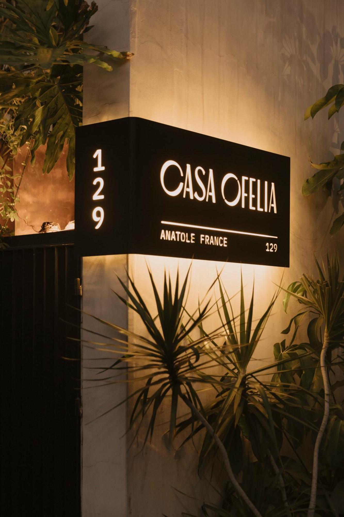 Отель Casa Ofelia Мехико Экстерьер фото